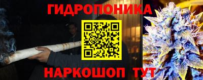 тгк Заводоуковск